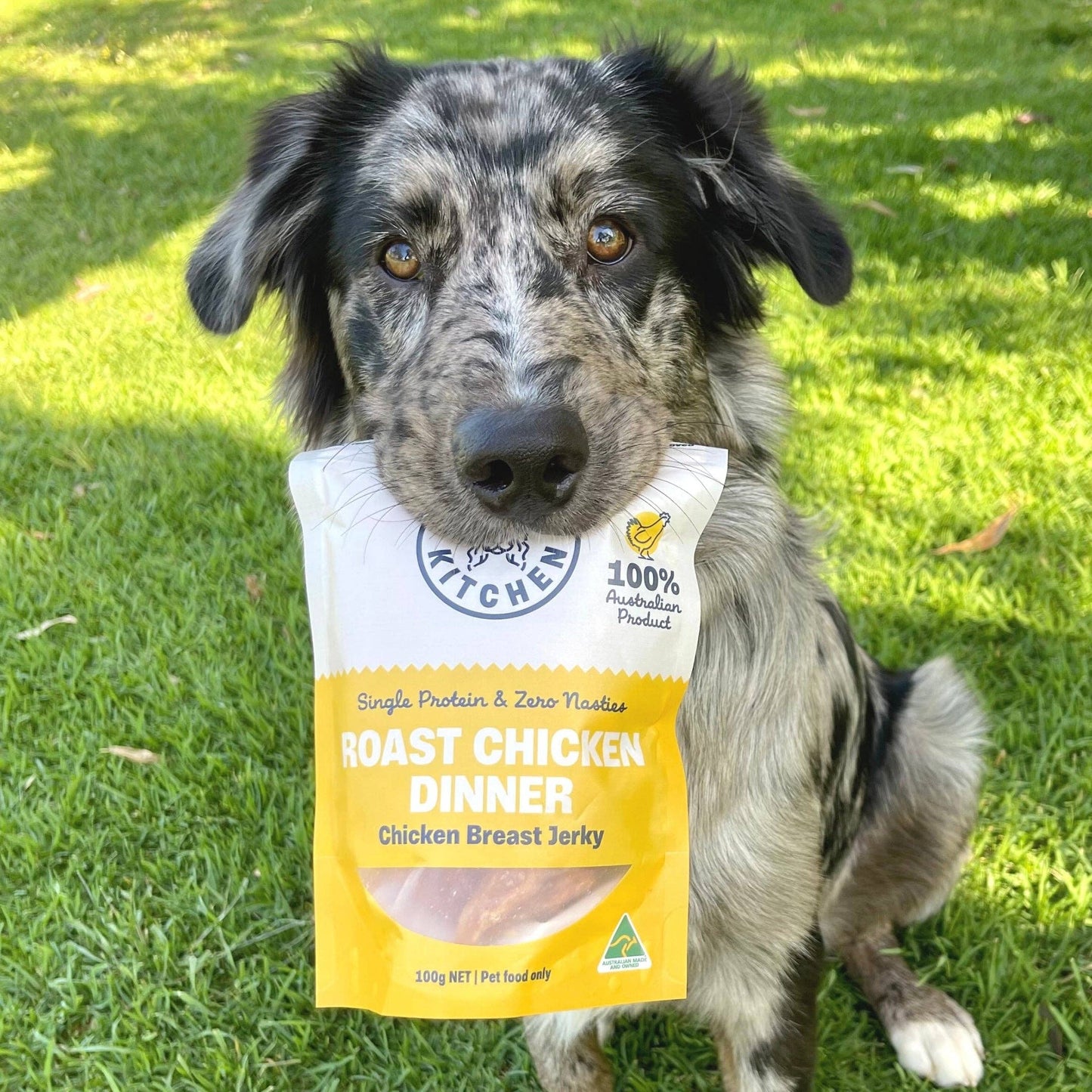 Chicken Breast Jerky