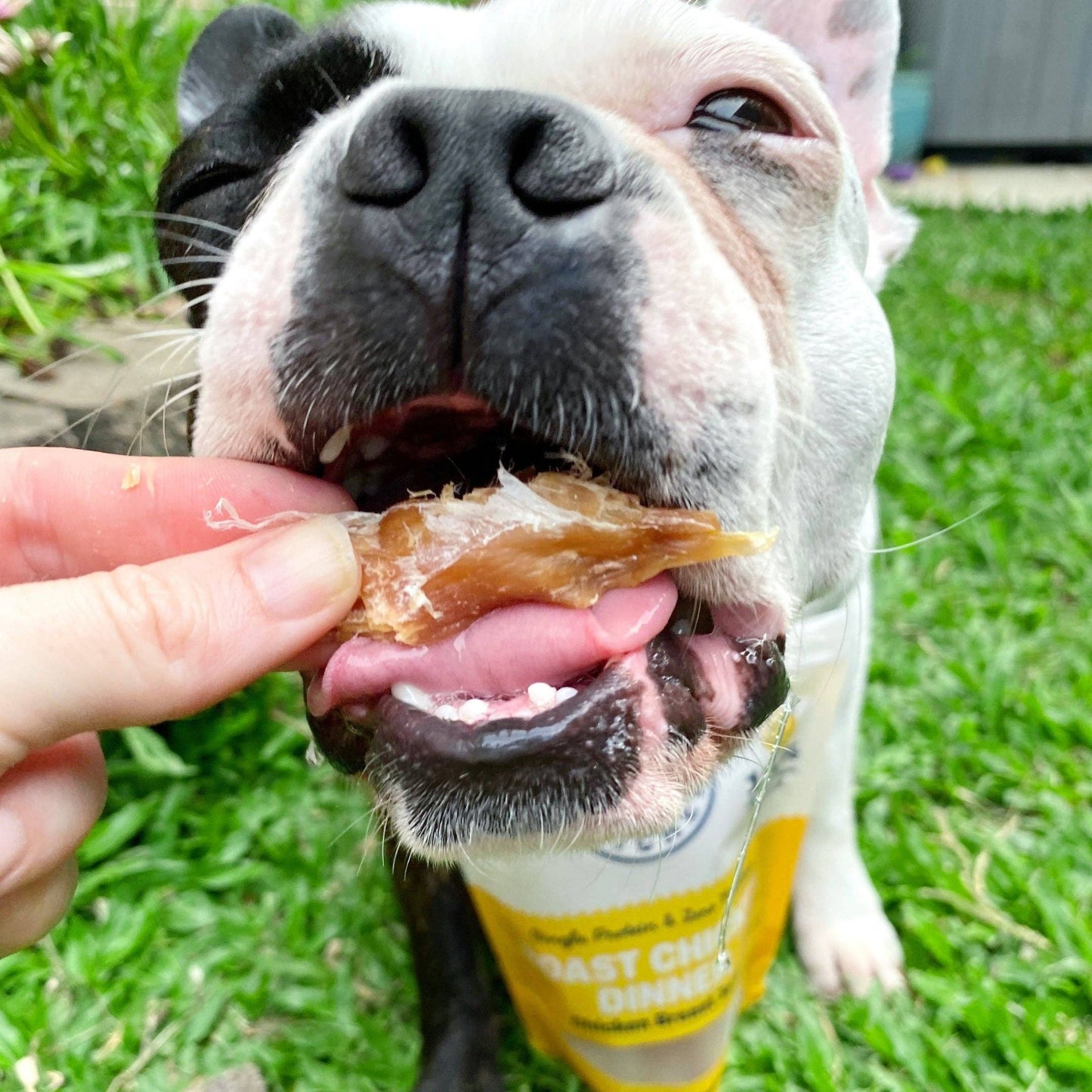 Chicken Breast Jerky