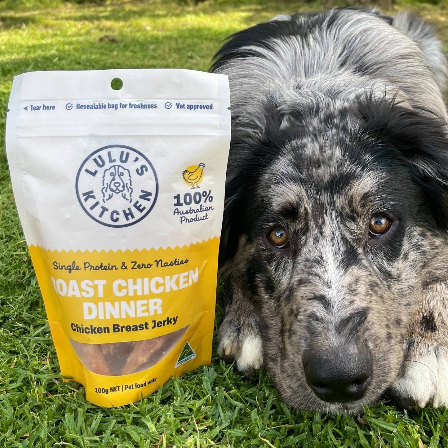 Chicken Breast Jerky