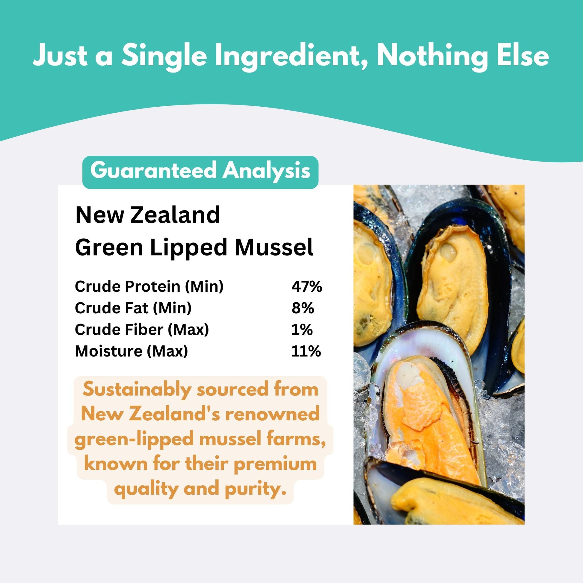Green Lipped Mussel Dog Treats-3