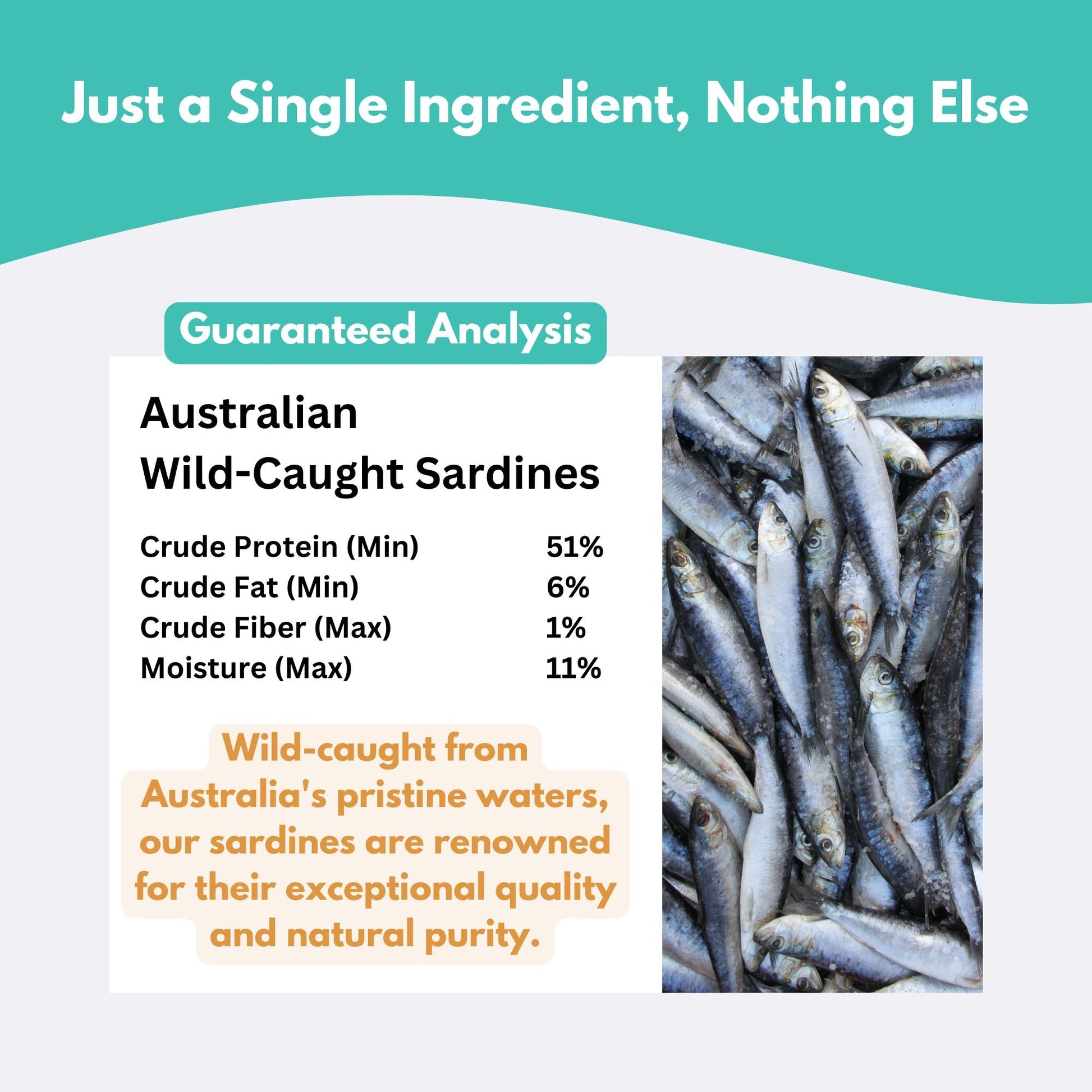 Australian Sardine Dog Treats-3