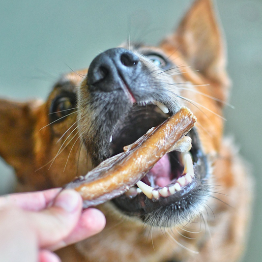 Bully Bites - Healthy Dog Treats