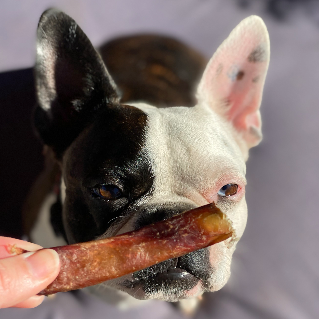 Bully Bites - Healthy Dog Treats