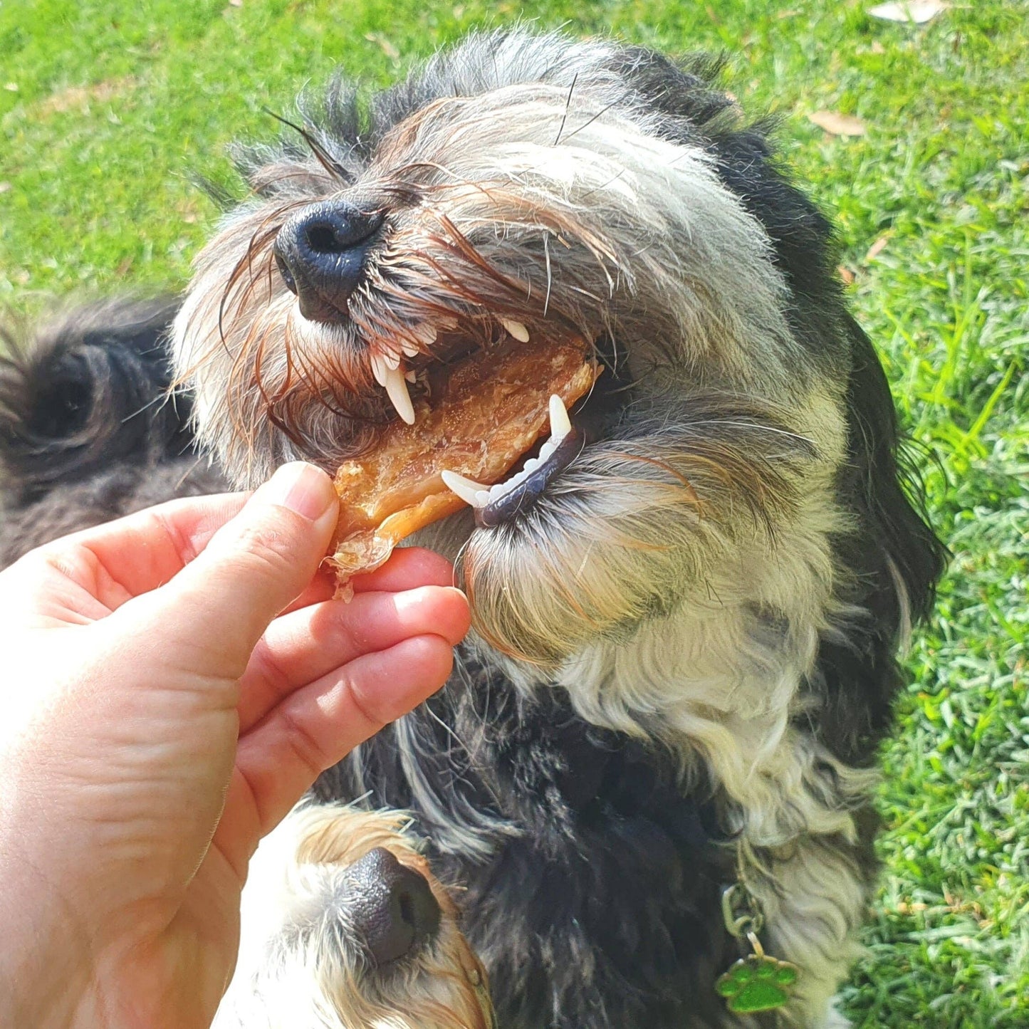 Chicken Breast Jerky