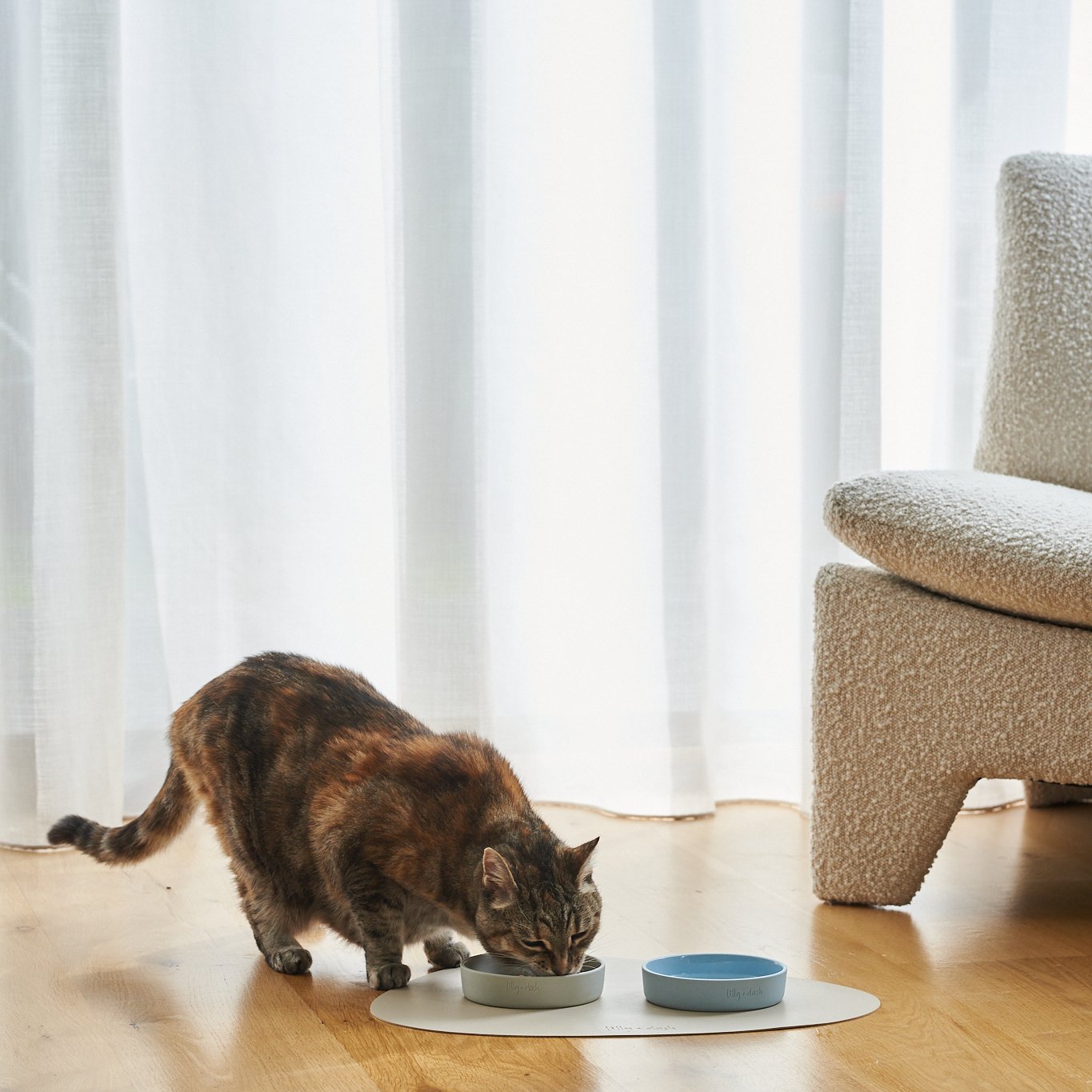 cat collars-1