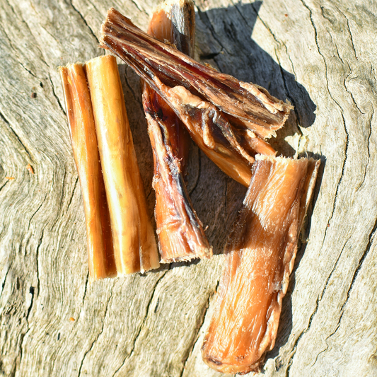 Bully Bites - Healthy Dog Treats