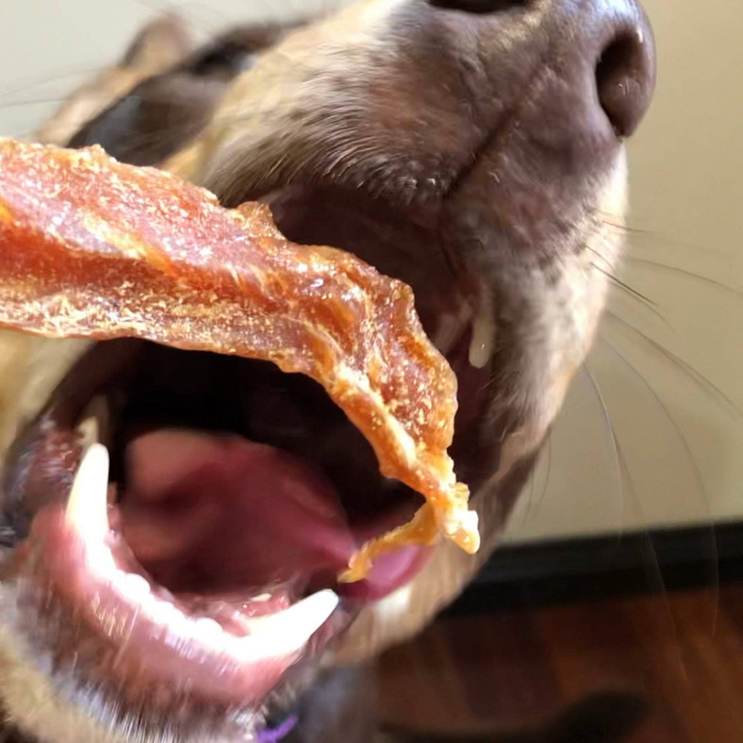 Chicken Breast Jerky