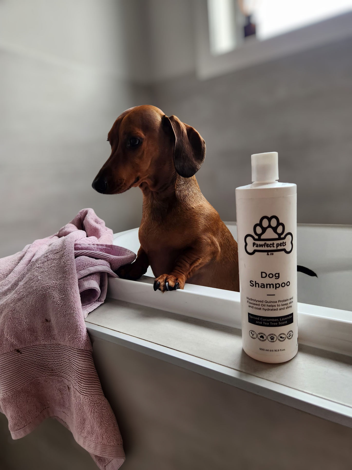 Pet Shampoo & Conditioner Spritz Bundle - Fresh Cotton